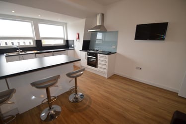 5 bed flat, 32 Hill Park Crescent, Greenbank, Plymouth, PL48JP - Image 9